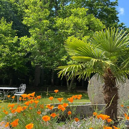Manoir Du Parc (Adults Only) Ξενοδοχείο Αμπουάζ Εξωτερικό φωτογραφία