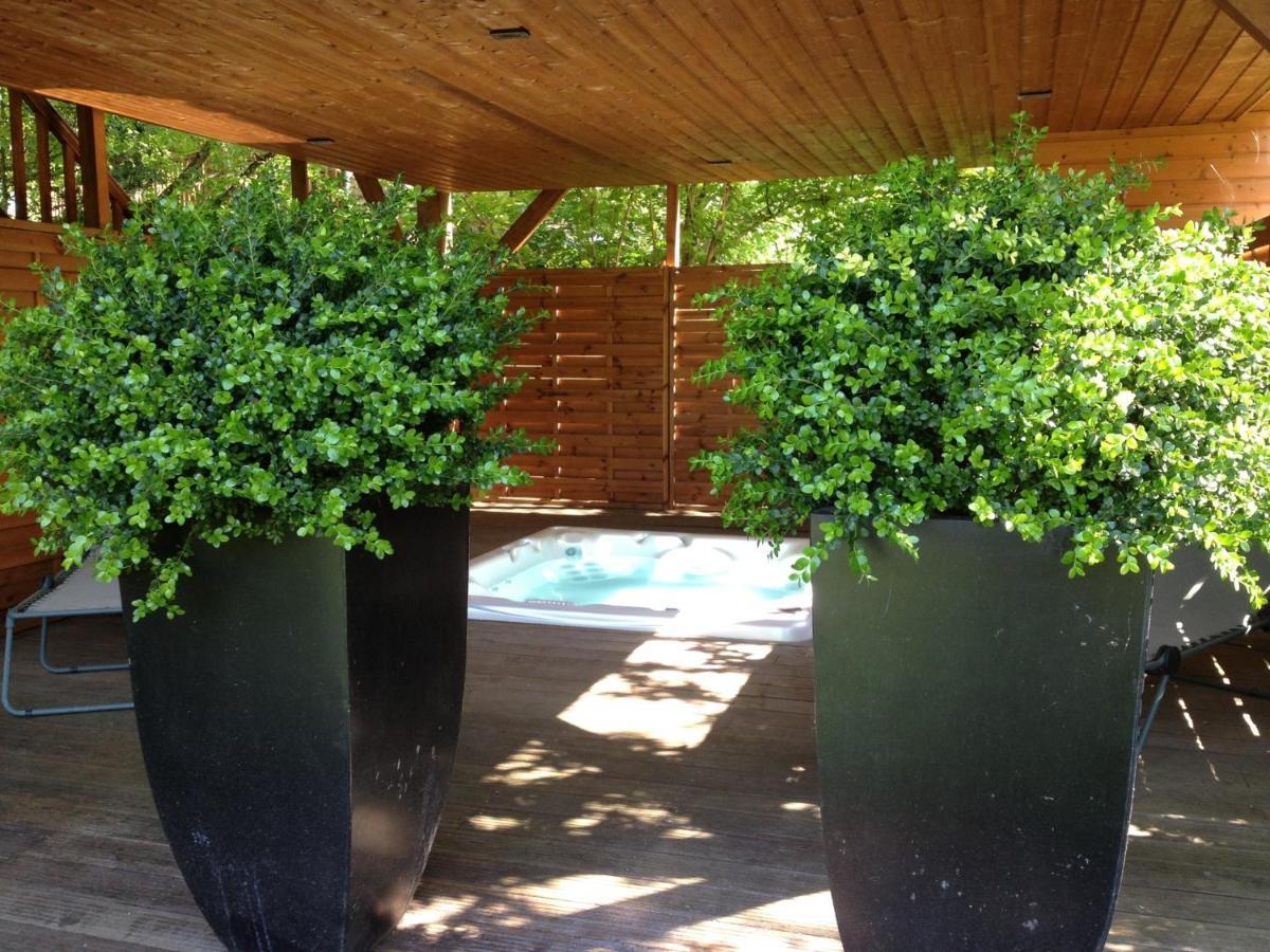 Manoir Du Parc (Adults Only) Ξενοδοχείο Αμπουάζ Εξωτερικό φωτογραφία