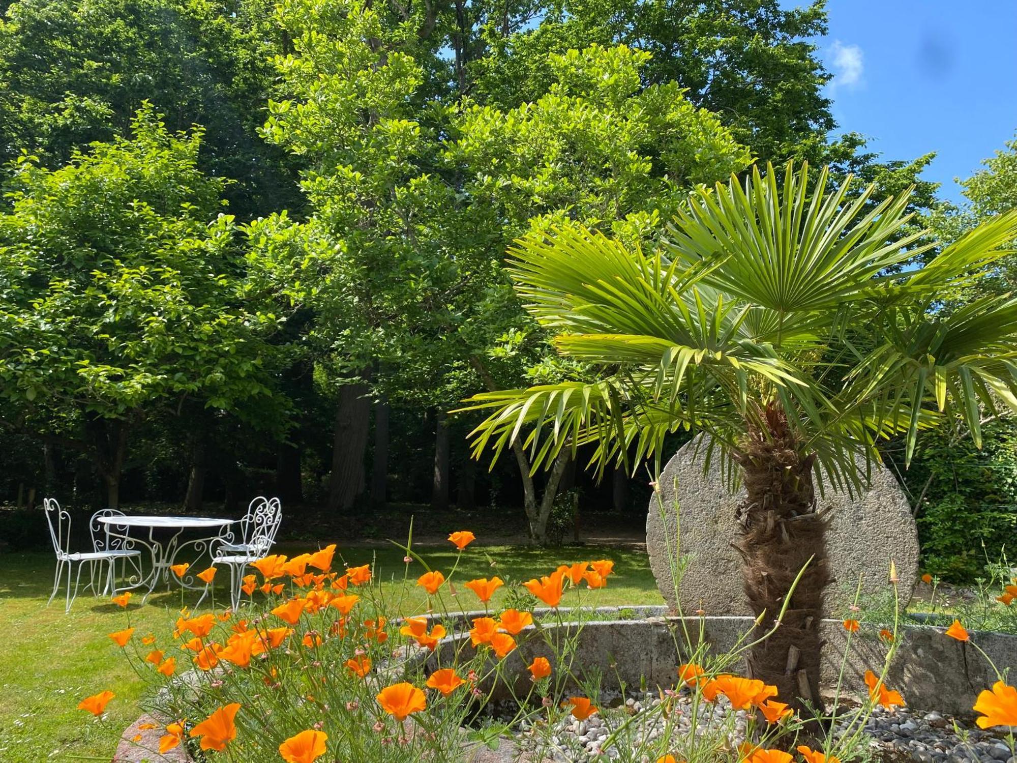 Manoir Du Parc (Adults Only) Ξενοδοχείο Αμπουάζ Εξωτερικό φωτογραφία