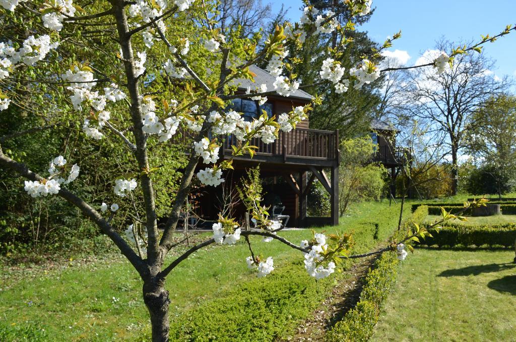 Manoir Du Parc (Adults Only) Ξενοδοχείο Αμπουάζ Εξωτερικό φωτογραφία