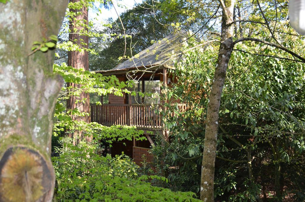 Manoir Du Parc (Adults Only) Ξενοδοχείο Αμπουάζ Εξωτερικό φωτογραφία