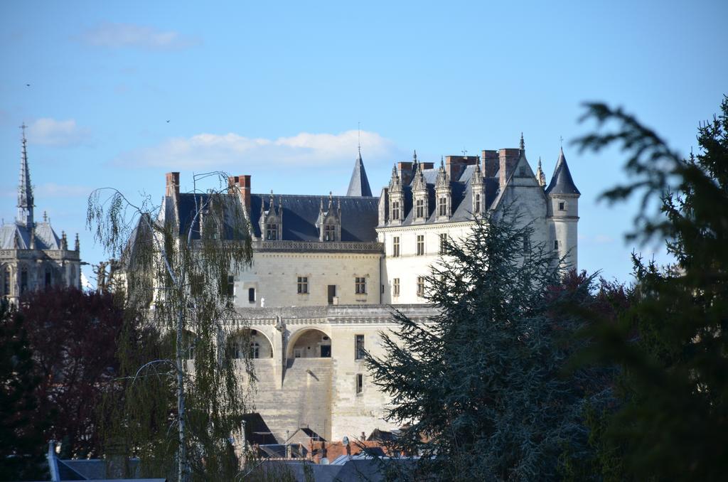 Manoir Du Parc (Adults Only) Ξενοδοχείο Αμπουάζ Εξωτερικό φωτογραφία