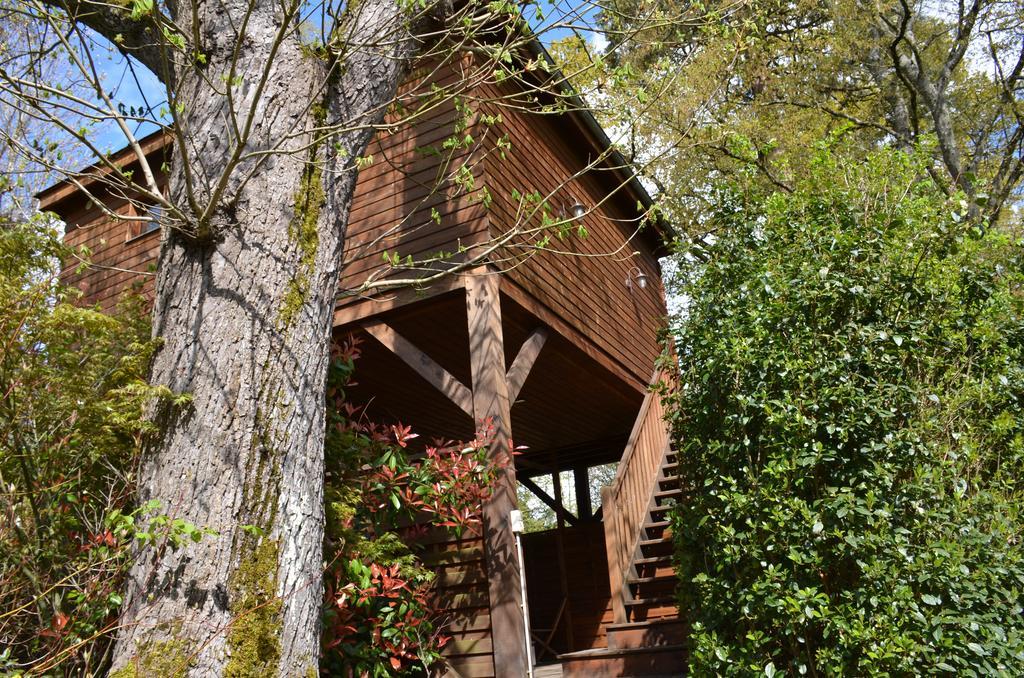 Manoir Du Parc (Adults Only) Ξενοδοχείο Αμπουάζ Εξωτερικό φωτογραφία