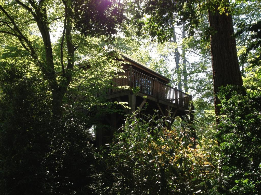 Manoir Du Parc (Adults Only) Ξενοδοχείο Αμπουάζ Δωμάτιο φωτογραφία