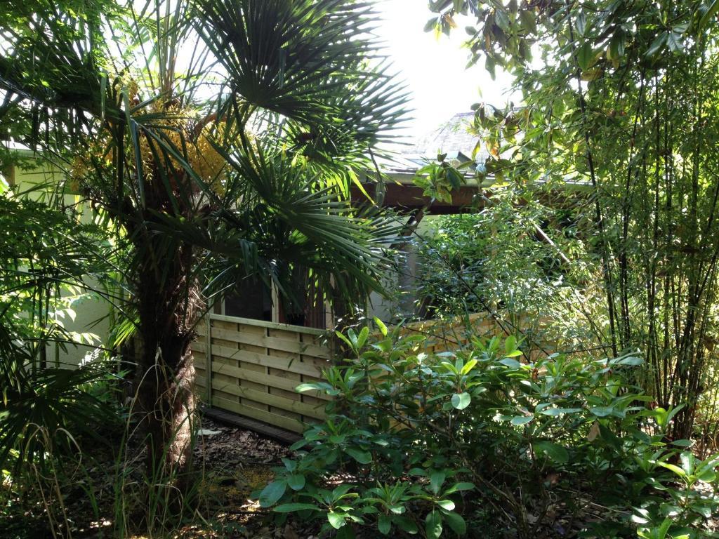 Manoir Du Parc (Adults Only) Ξενοδοχείο Αμπουάζ Δωμάτιο φωτογραφία